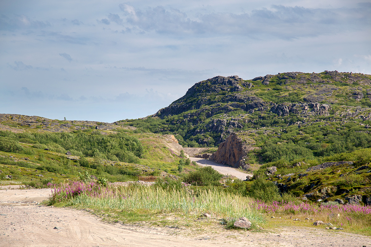 Териберка, image of landscape/habitat.