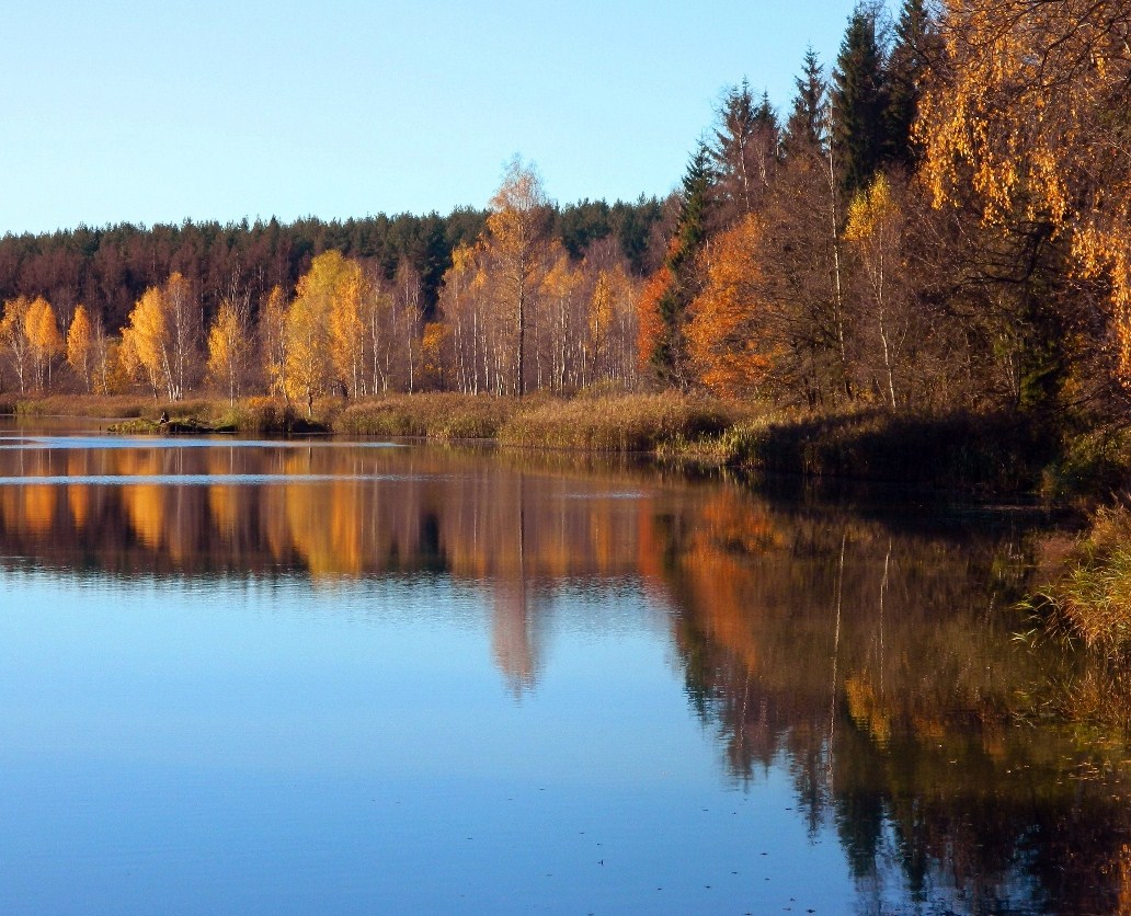 Окрестности города Одинцово, image of landscape/habitat.