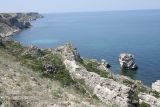 Image of landscape