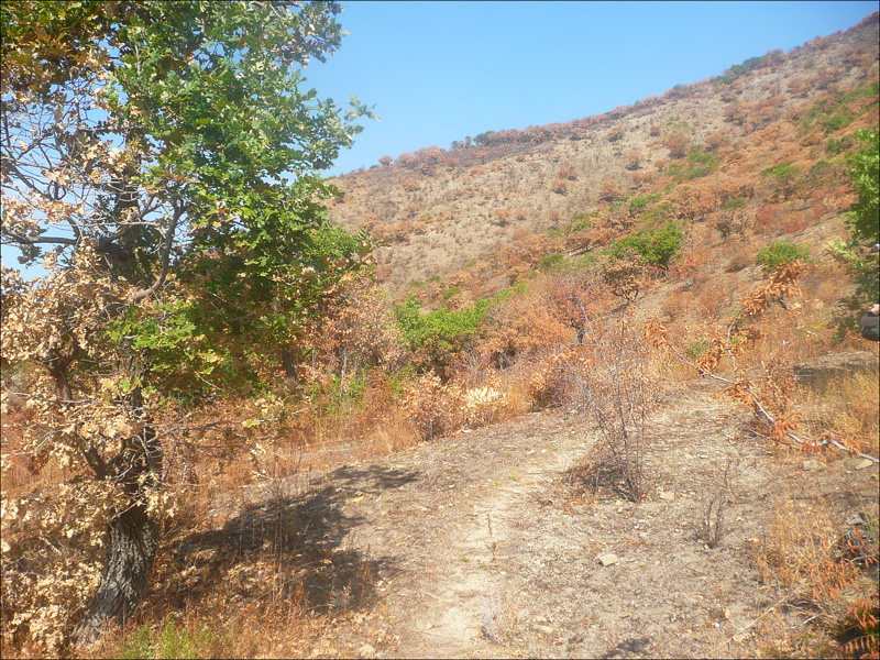 Мыс Мысхако и окрестности, image of landscape/habitat.