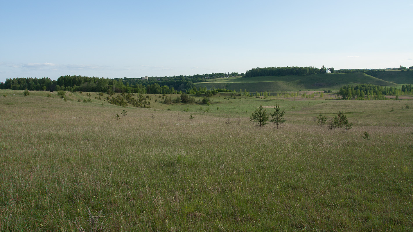 Изборско-Мальская долина, image of landscape/habitat.