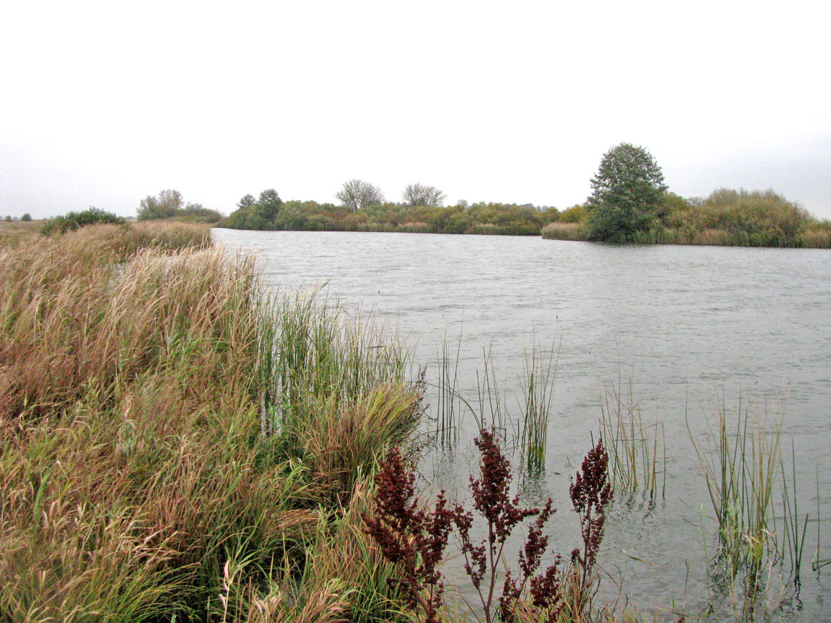 Окский заповедник, image of landscape/habitat.