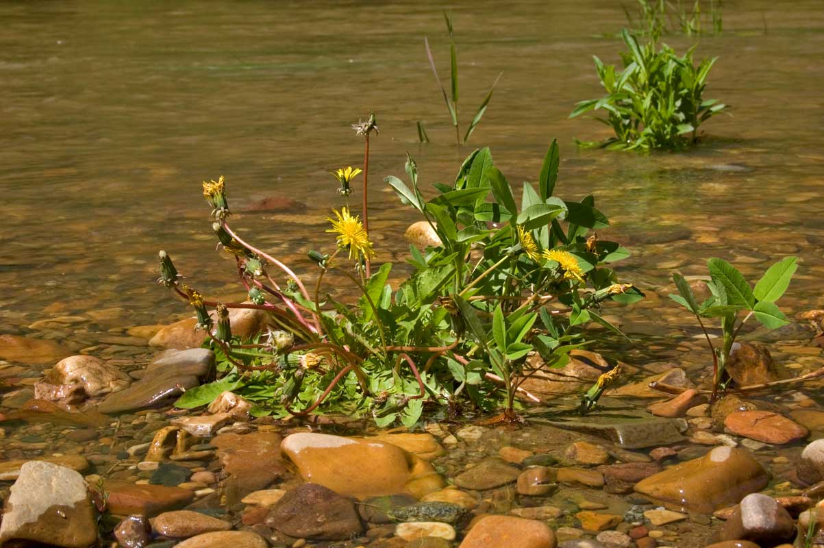 Окрестности Усть-Катава, image of landscape/habitat.