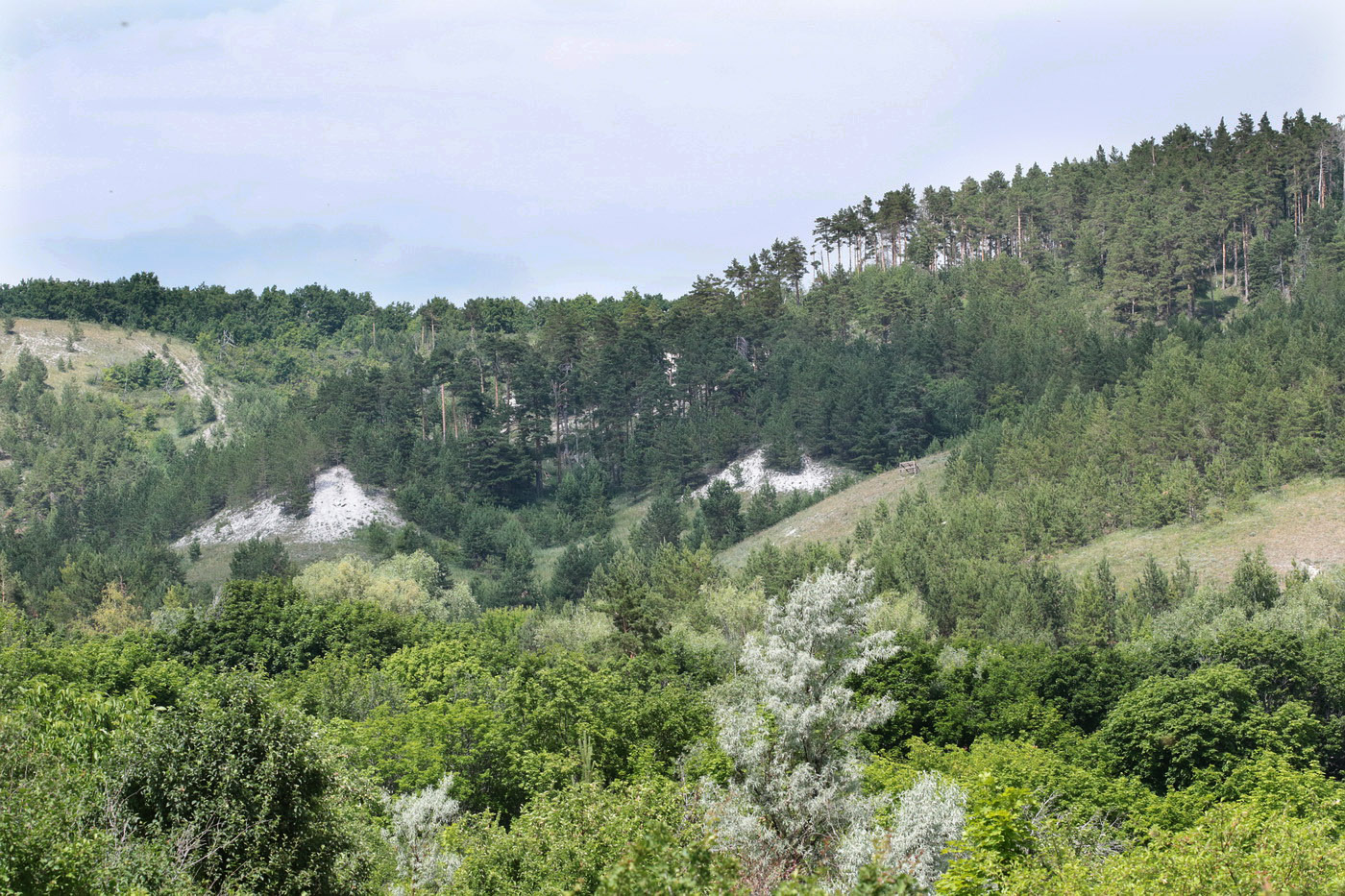 Хвалынск и окрестности, изображение ландшафта.