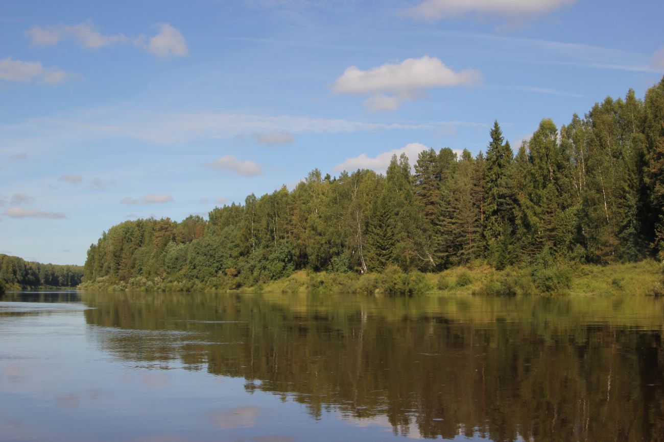 Окрестности устья ручья Луковка, image of landscape/habitat.