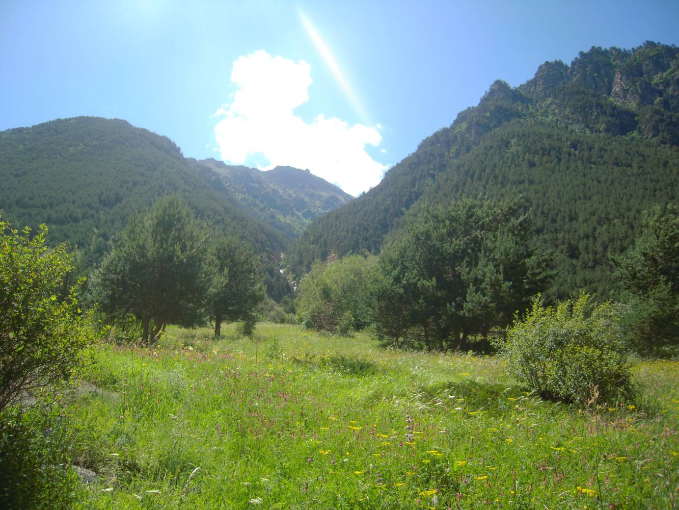 Долина реки Баксан, image of landscape/habitat.