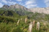 Урочище Цеси, image of landscape/habitat.