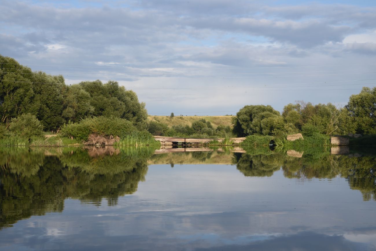 Окрестности села Долгое, image of landscape/habitat.
