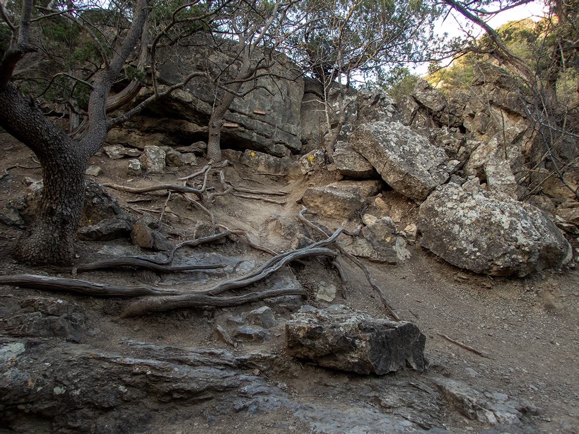 Караул-Оба, image of landscape/habitat.