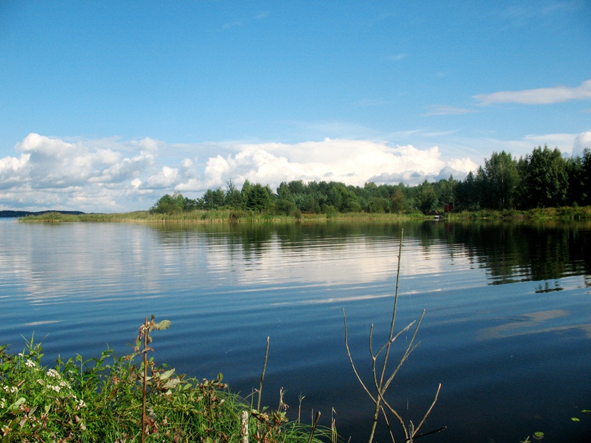 Селигер, image of landscape/habitat.