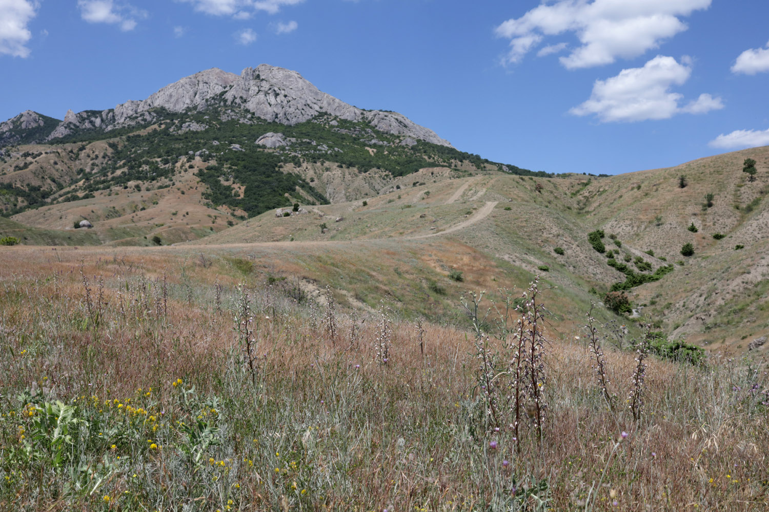 Лисья бухта, image of landscape/habitat.