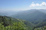 Binsar Wildlife Sanctuary, image of landscape/habitat.