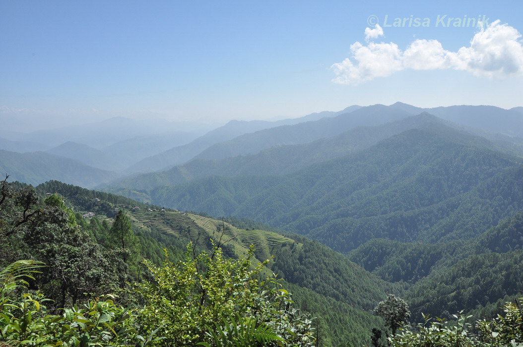 Binsar Wildlife Sanctuary, изображение ландшафта.