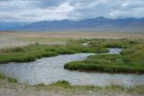 Окрестности села Кош-Агач, image of landscape/habitat.