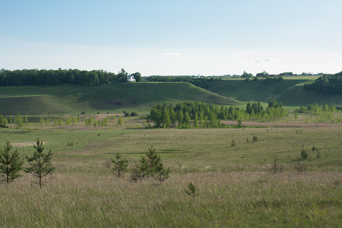 Труворово городище, image of landscape/habitat.