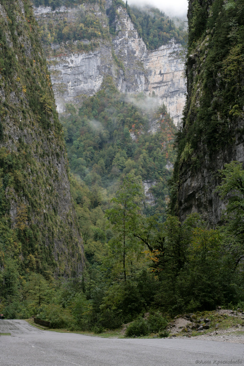 Юпшарский каньон, image of landscape/habitat.