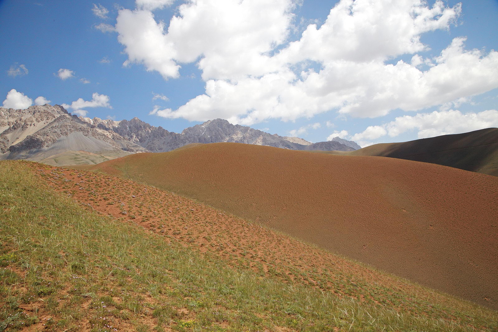 Кызыл-Эшме, image of landscape/habitat.