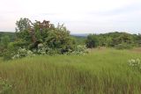 Вышка, image of landscape/habitat.