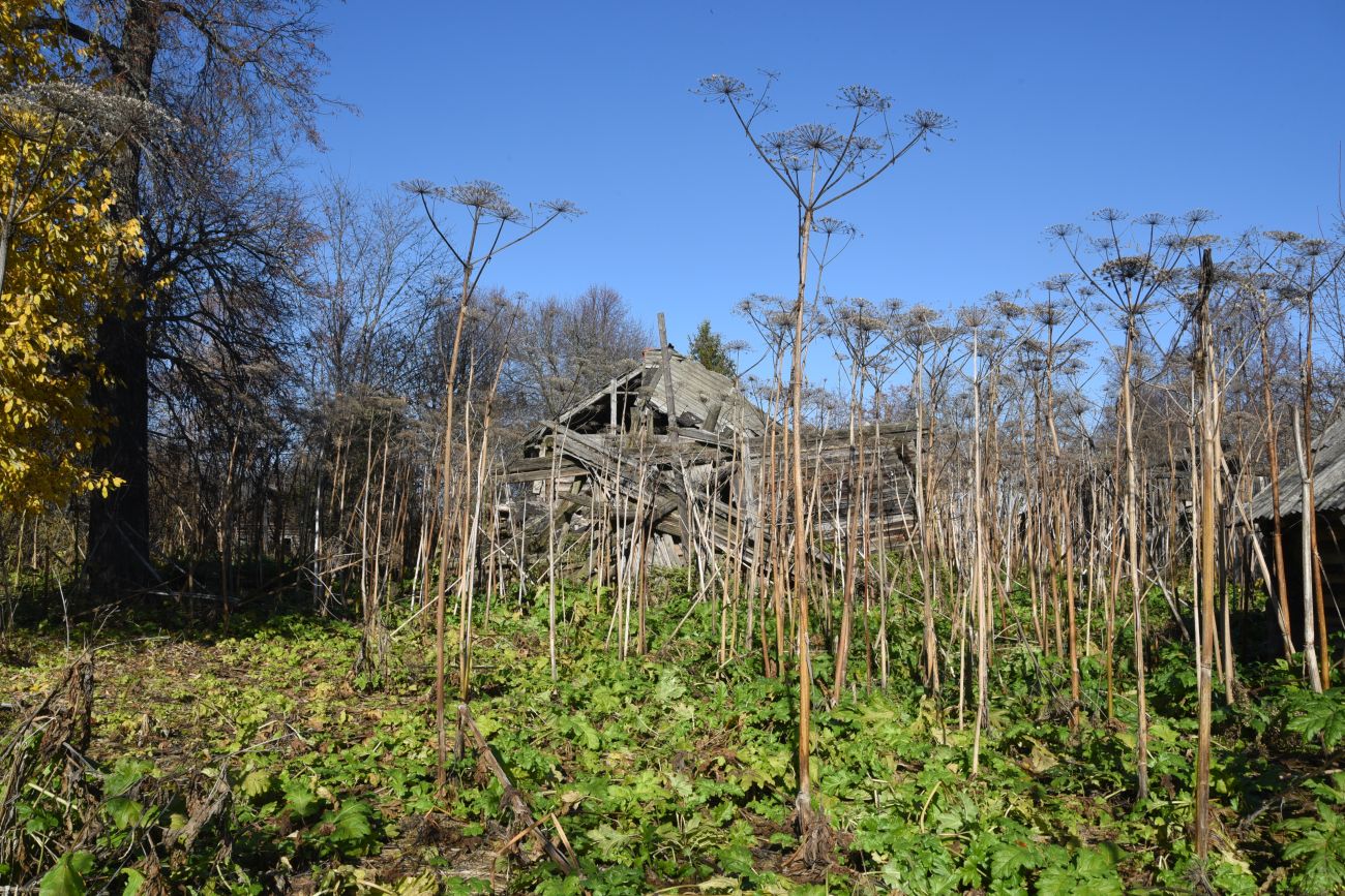 Занино, image of landscape/habitat.