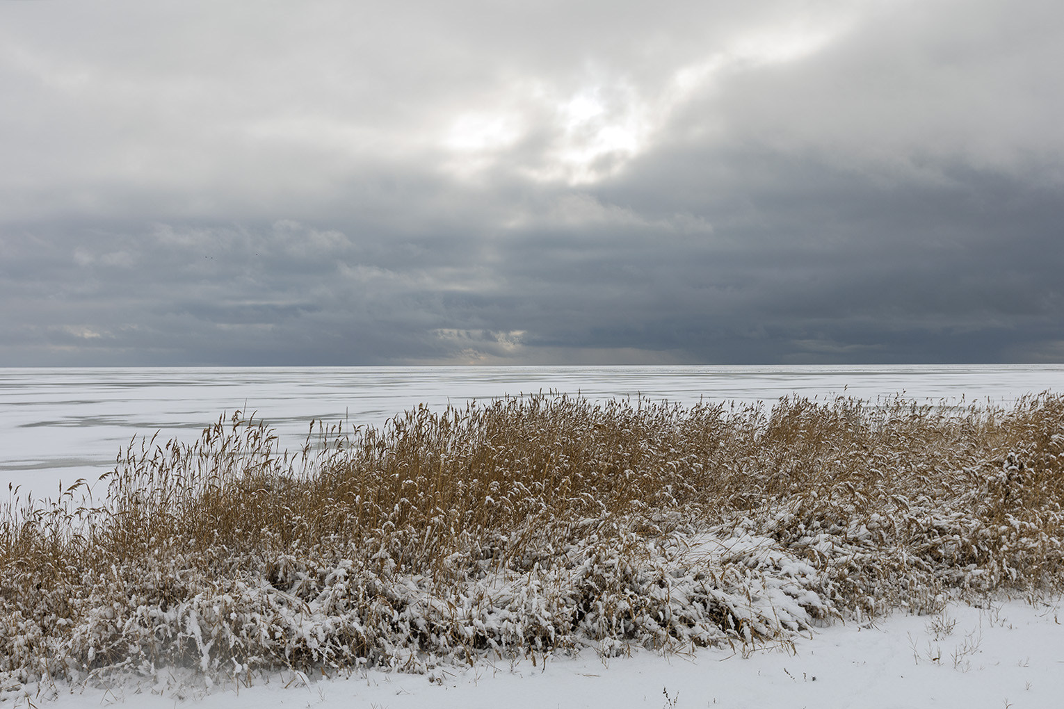 Мержаново, image of landscape/habitat.