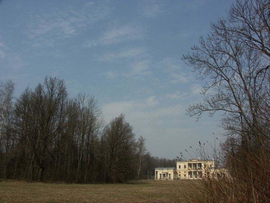 Парк "Сергиевка", image of landscape/habitat.