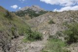 Image of landscape