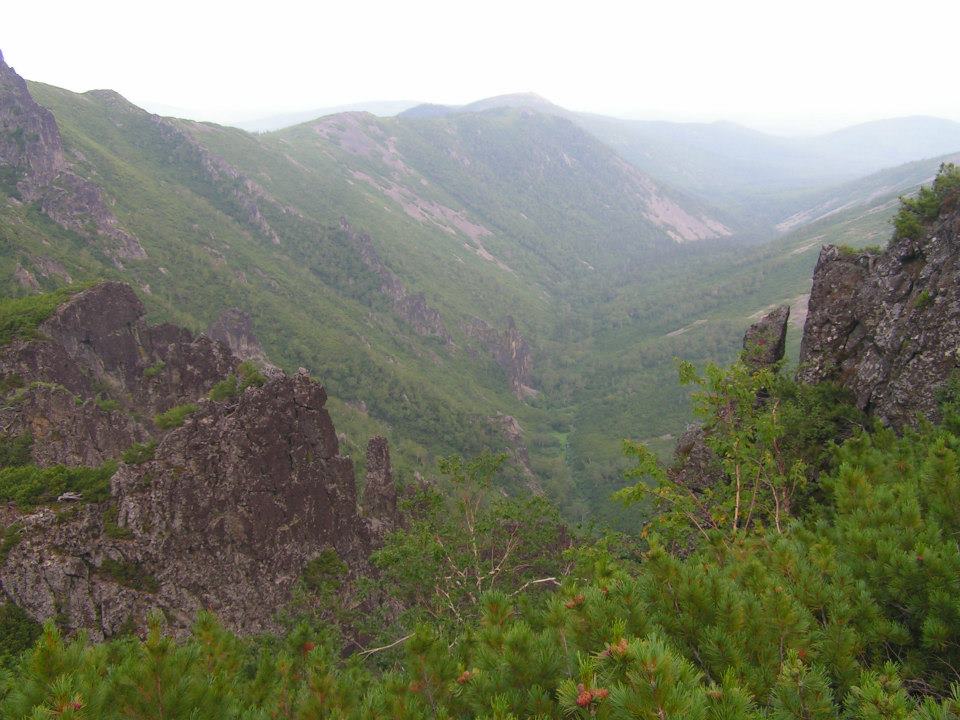 Тиуль-Шаман, image of landscape/habitat.