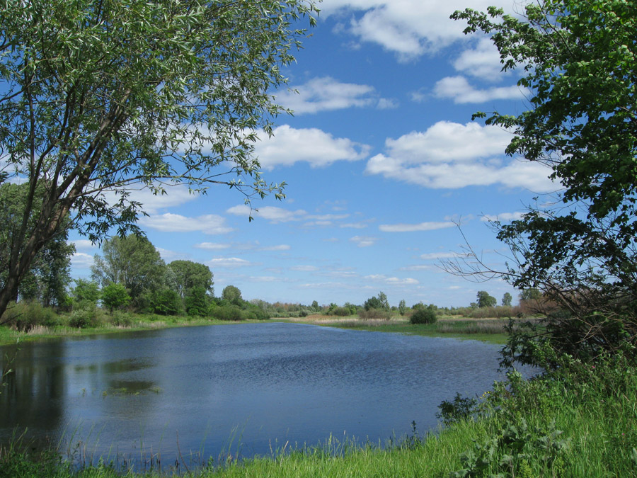 Пойменные луга, image of landscape/habitat.