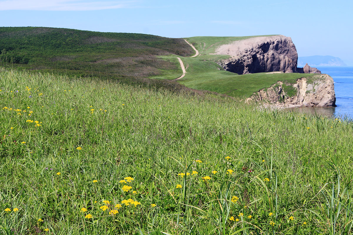 Окрестности бухты Зеркальной, image of landscape/habitat.