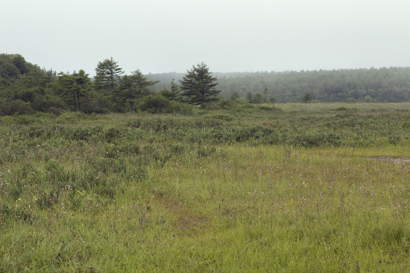 Кету, image of landscape/habitat.