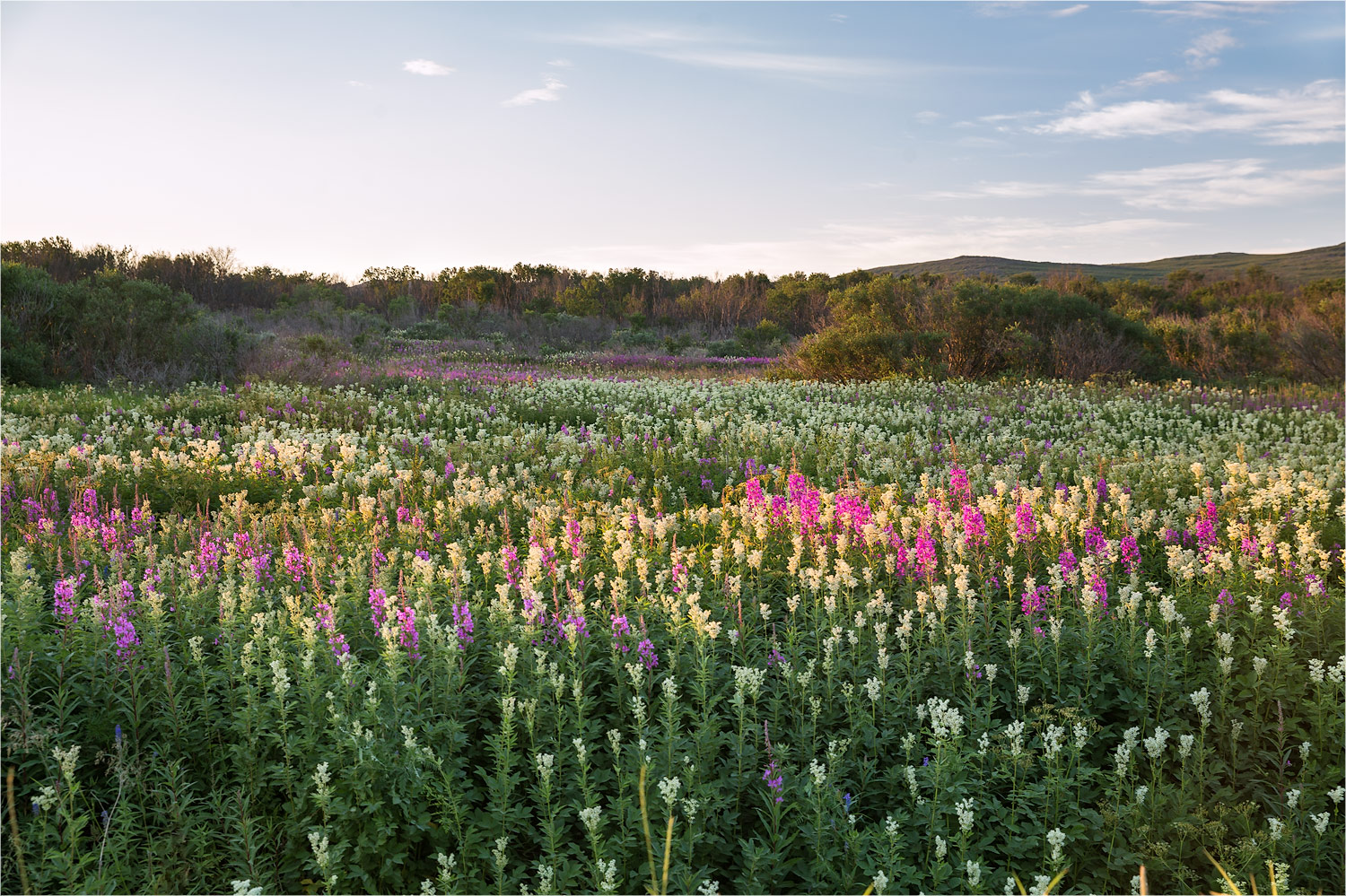 Бухта Озерко, image of landscape/habitat.