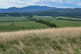 Image of landscape