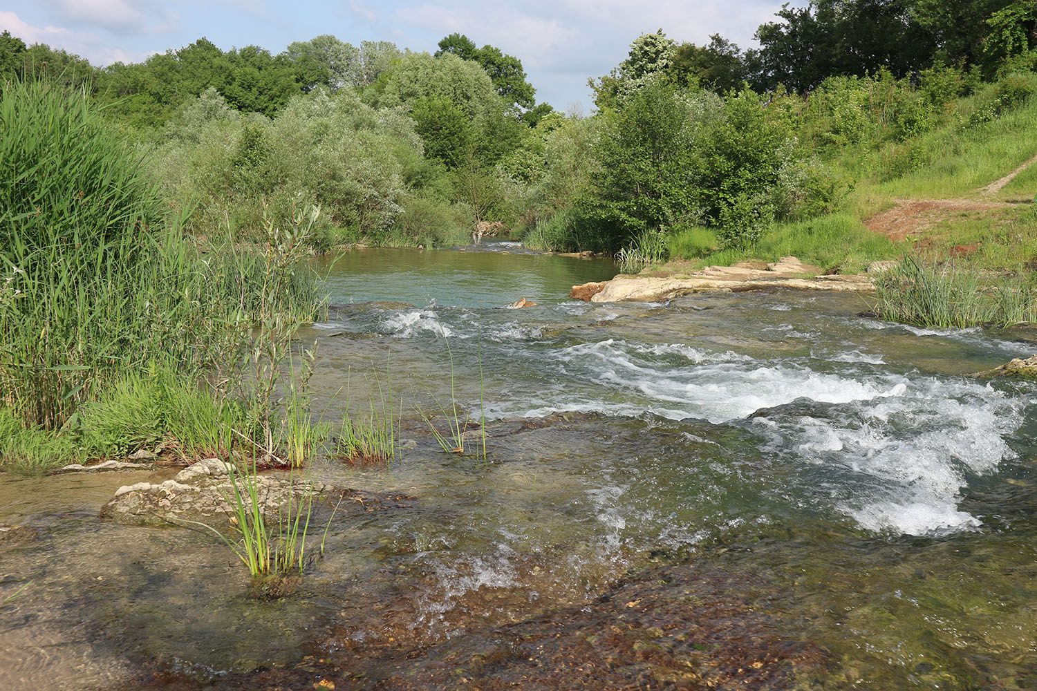 Река Неберджай, изображение ландшафта.