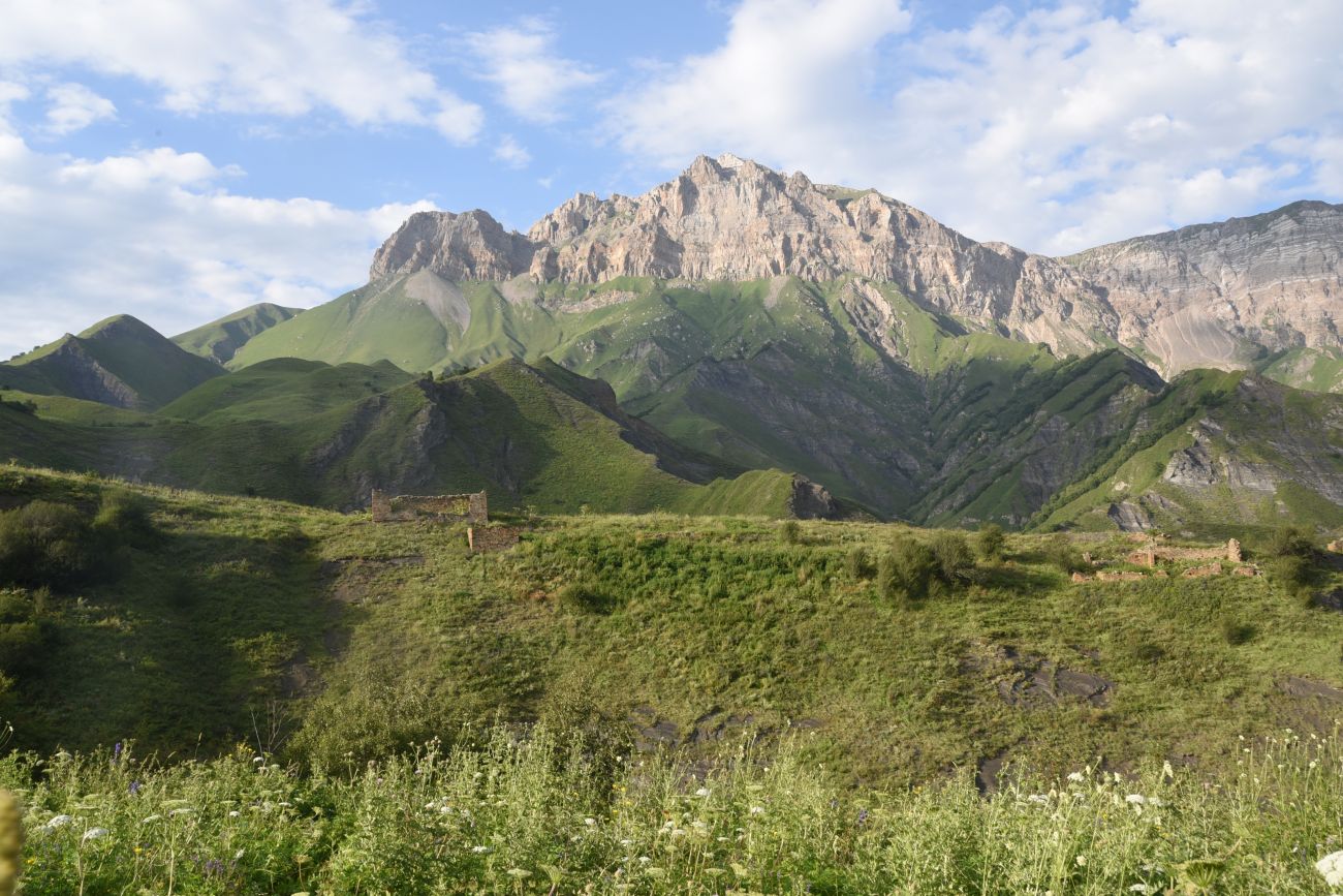 Урочище Цеси, изображение ландшафта.