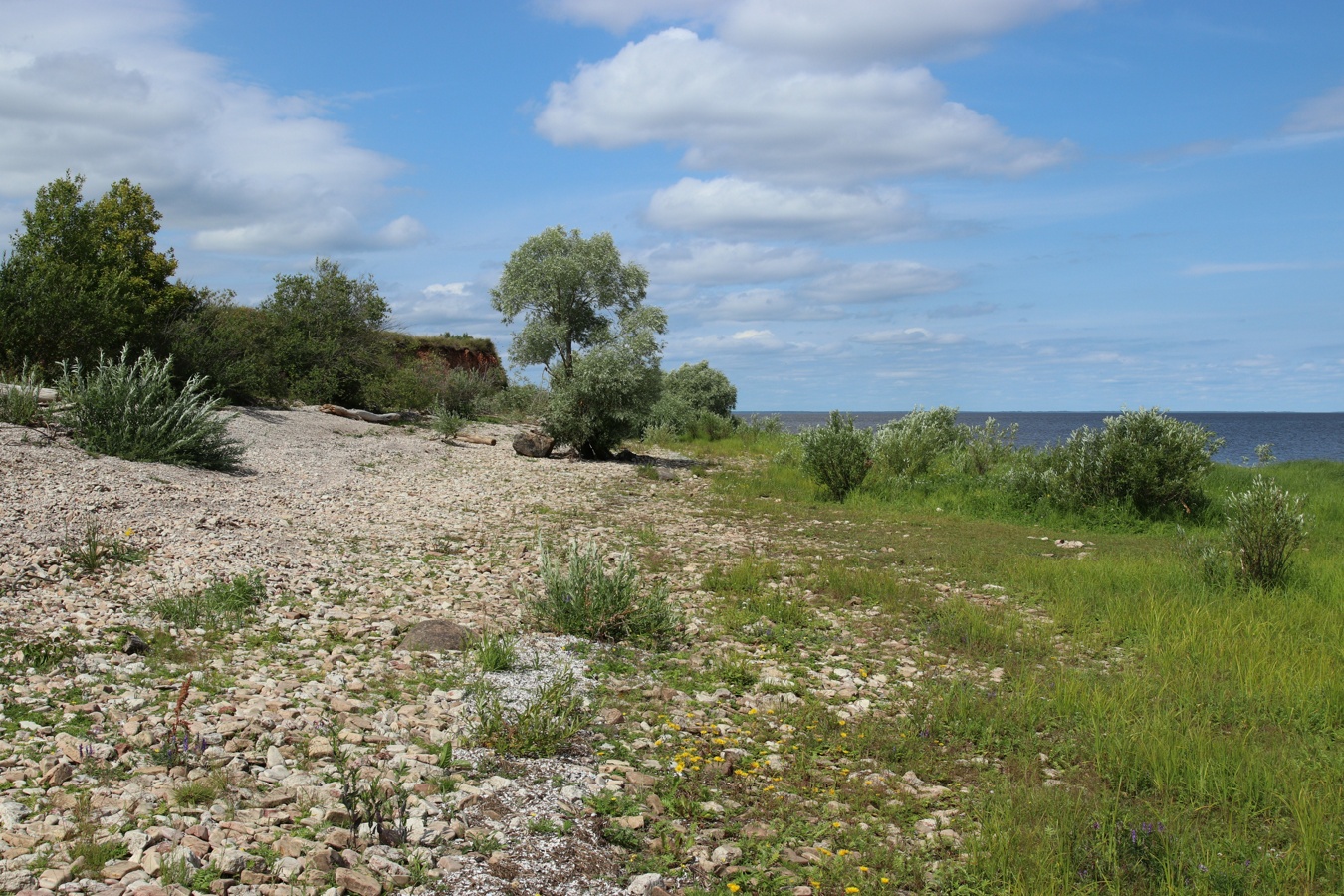 Ильменский глинт, image of landscape/habitat.