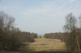 Image of landscape