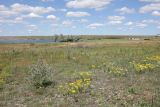 Донузлав (верховья), image of landscape/habitat.