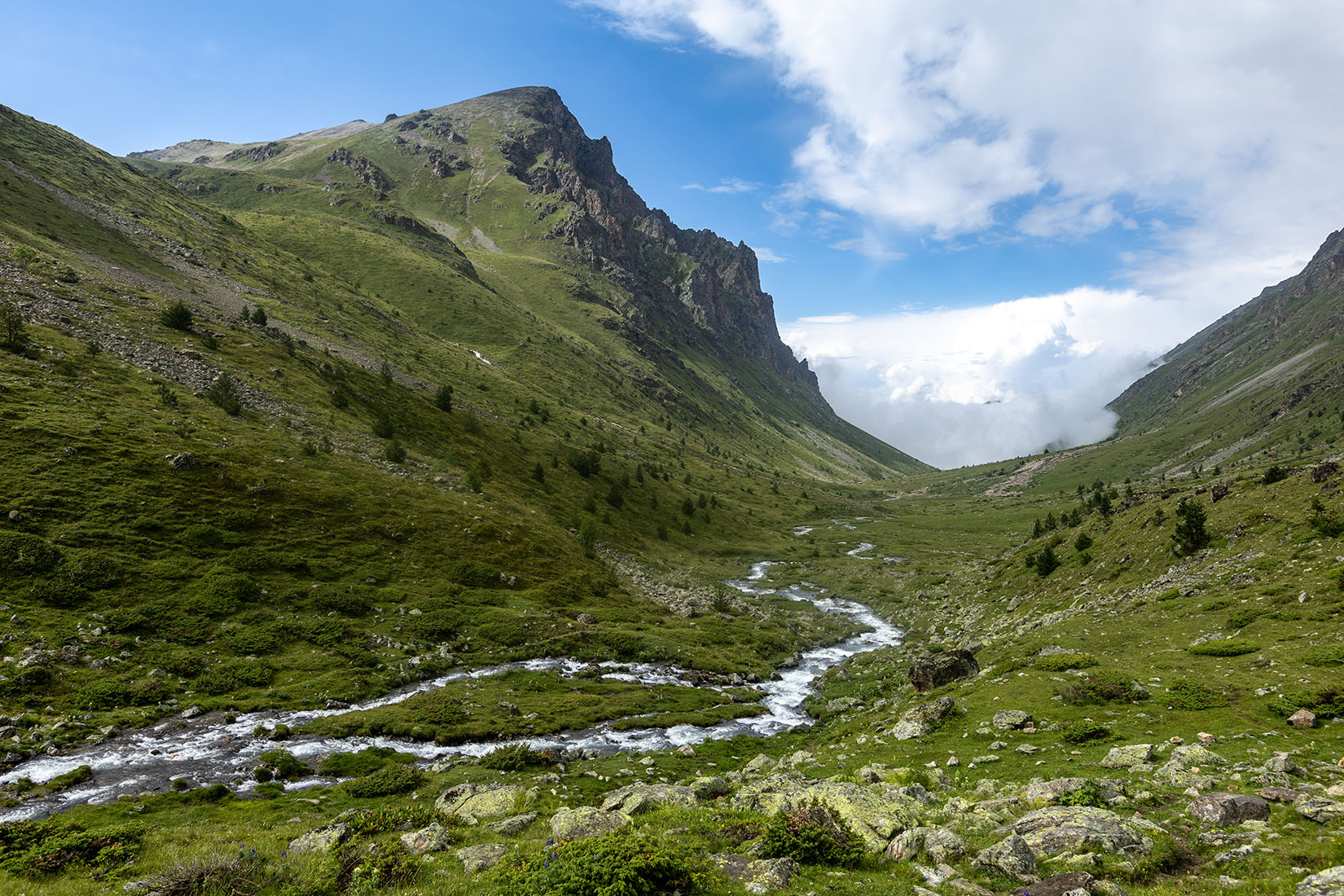Долина реки Учкуланичи, image of landscape/habitat.
