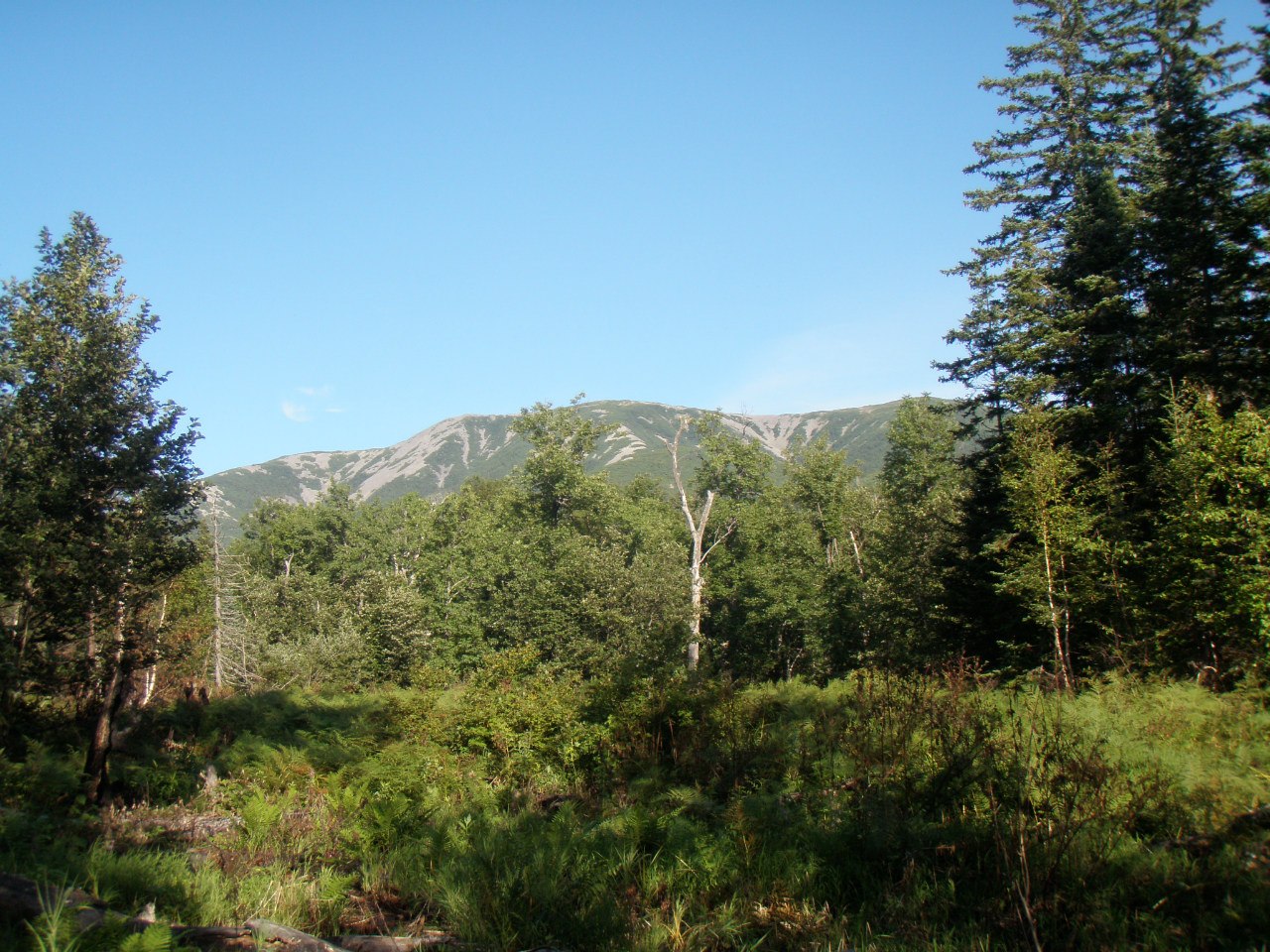 Тиуль-Шаман, image of landscape/habitat.