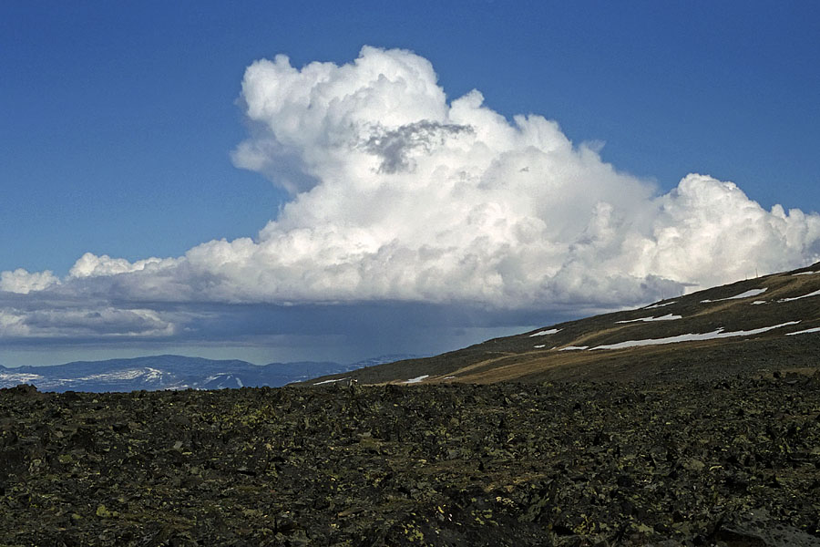 Певек, image of landscape/habitat.