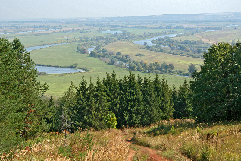Танаевские луга, image of landscape/habitat.