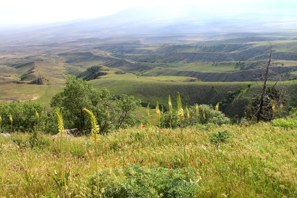 Гуланлы, image of landscape/habitat.