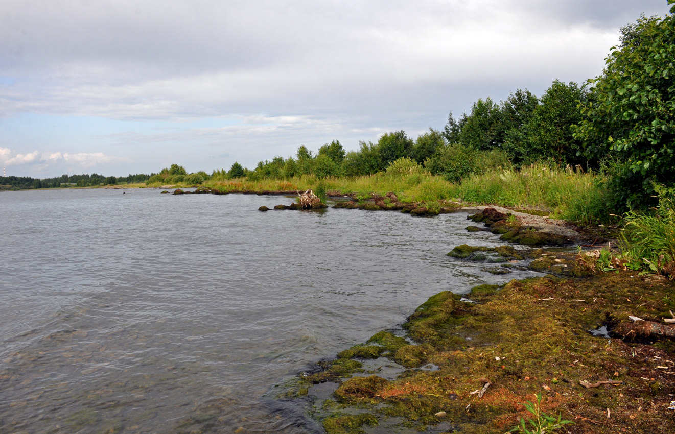 Озеро Увильды, image of landscape/habitat.