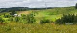 Image of landscape