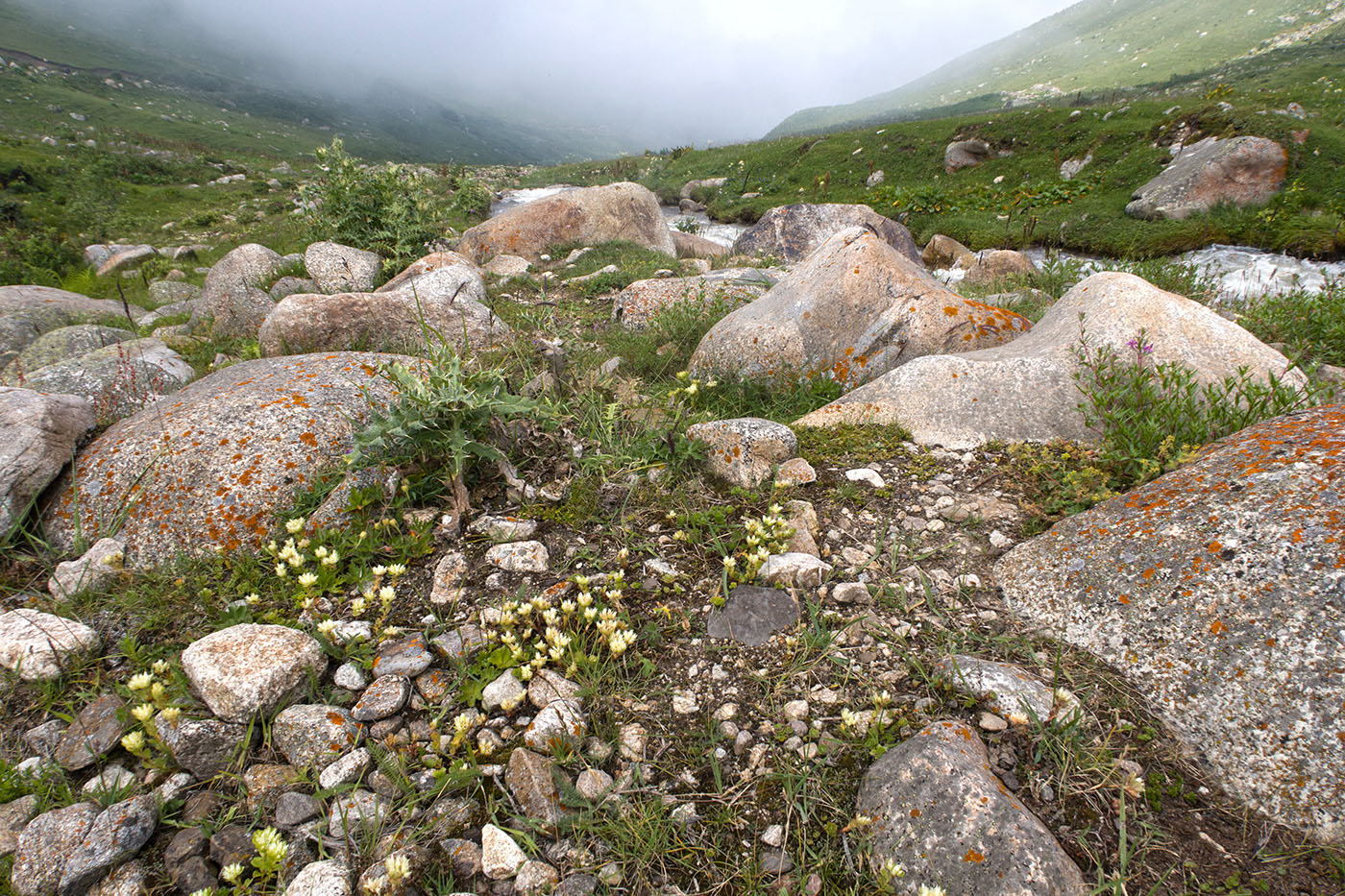Чайнашки, изображение ландшафта.