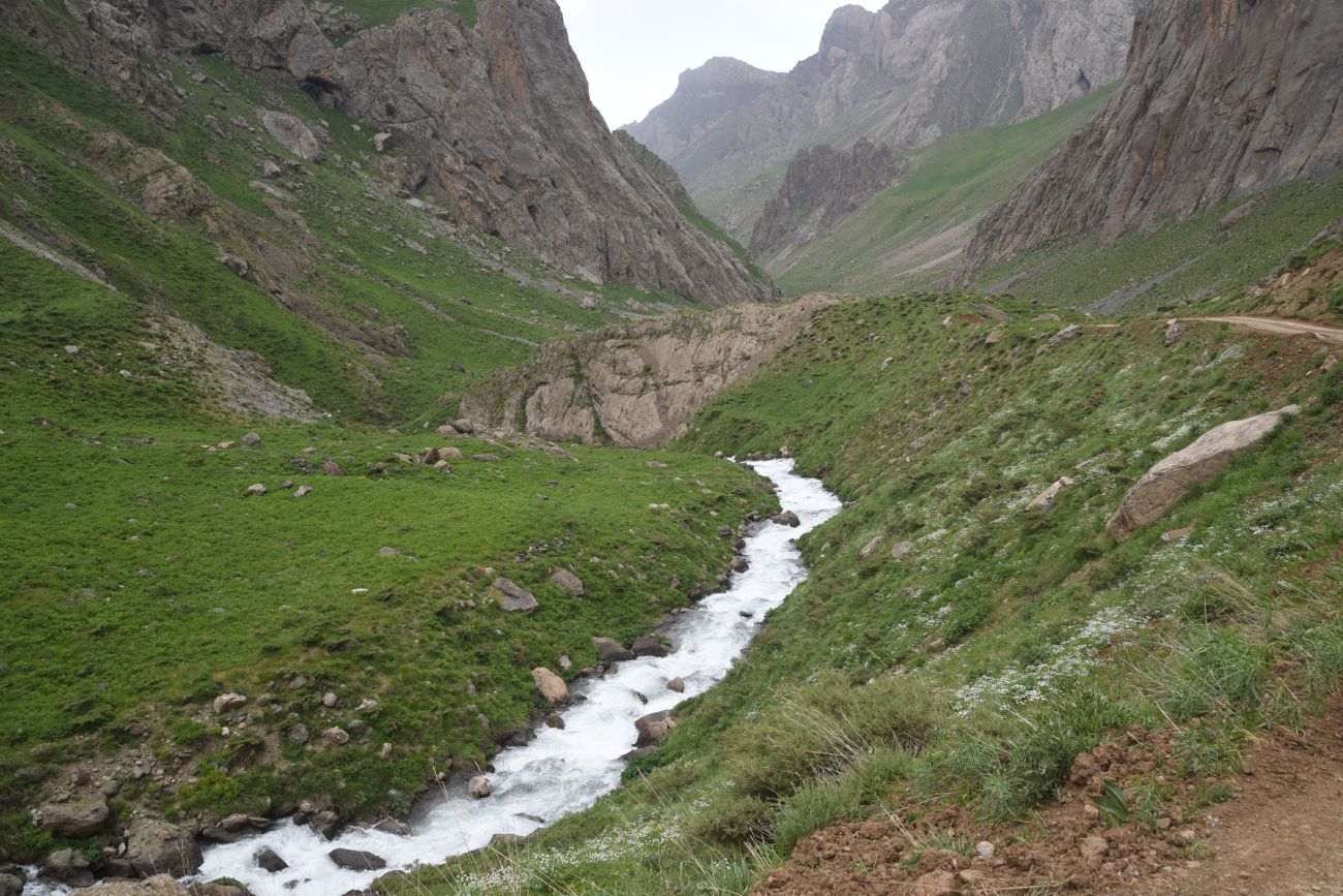 Базовый лагерь, image of landscape/habitat.