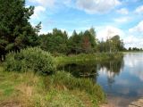 Image of landscape