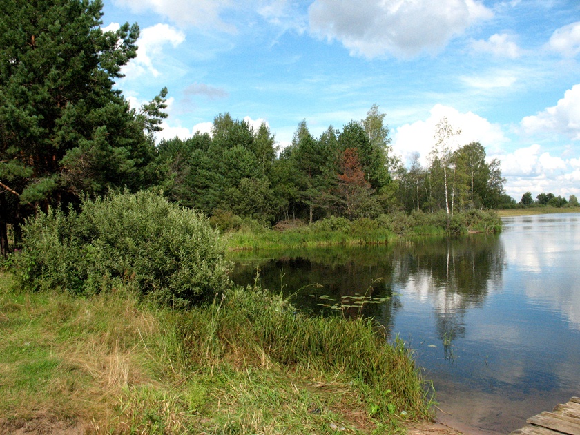 Селигер, image of landscape/habitat.