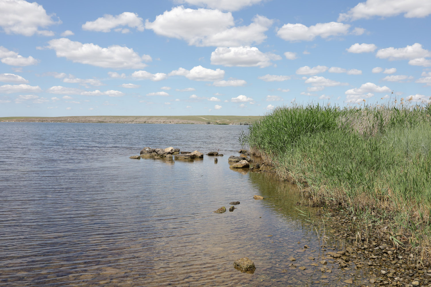 Донузлав (верховья), image of landscape/habitat.