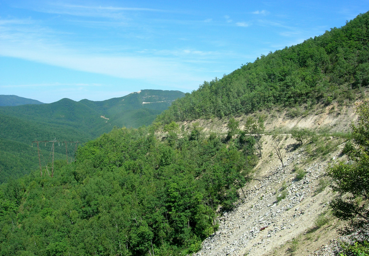 Окрестности города Дальнегорск, image of landscape/habitat.